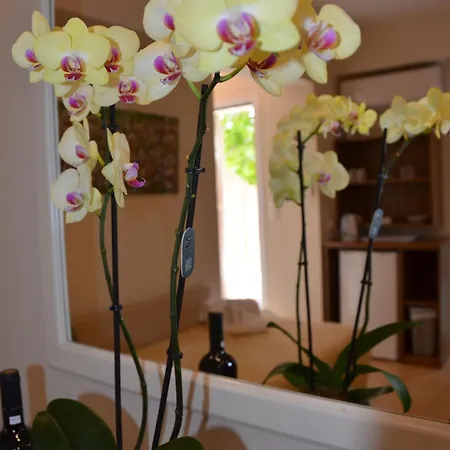 オデュッセウス 3* パレオカストリッツア